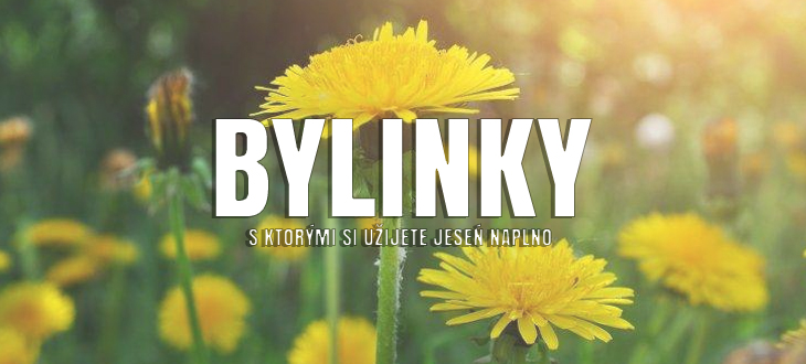 Bylinky, s ktorými si užijete jeseň a zimu naplno