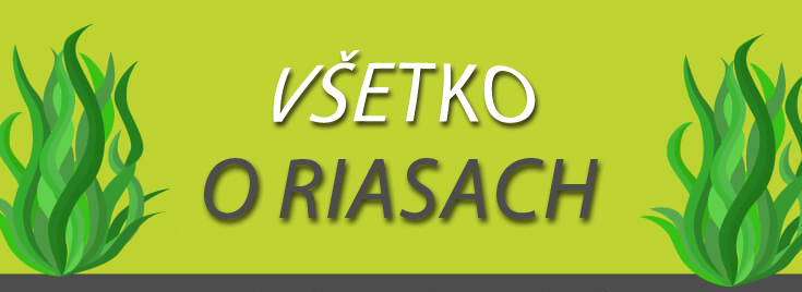 Všetko o riasach